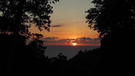 Blick-Auf-Den-Sonnenuntergang-Durch-Den-Wald-Am-Horizont