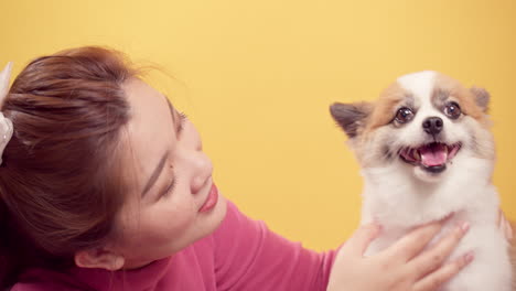 Asian-woman-playing-with-chihuahua-mix-pomeranian-dogs-for-relaxation-on-bright-yellow-background-4