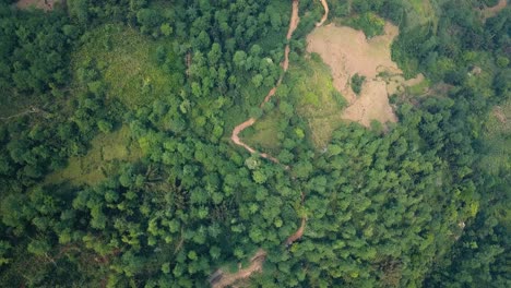 An-aerial-shot-looking-down-at-river-veins-in-a-Vietnamese-jungle