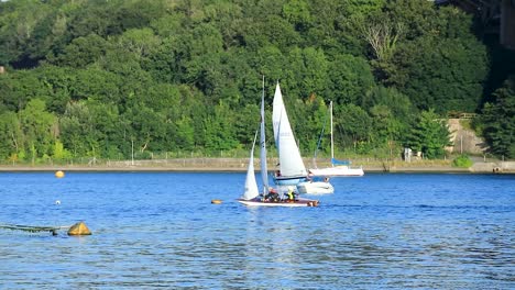 Small-Sailboats-Along-the-River-Tamar-Practicing-in-the-Light-Breeze-Between-Devon-and-Cornwall