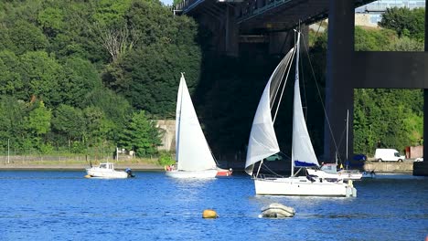 Schöne-Weiße-Segelboote,-Die-Entlang-Des-Flusses-Tamar-Zwischen-Devon-Und-Cornwall-In-England-Segeln