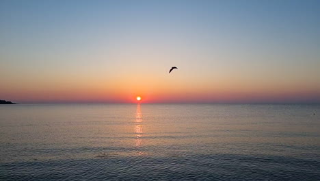 Seagull-bird-flying-above-the-sea-at-sunrise