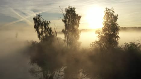 Nebel-über-Einem-Feld-Und-Einem-See-Bei-Sonnenaufgang-Mit-Bäumen-Am-Ufer