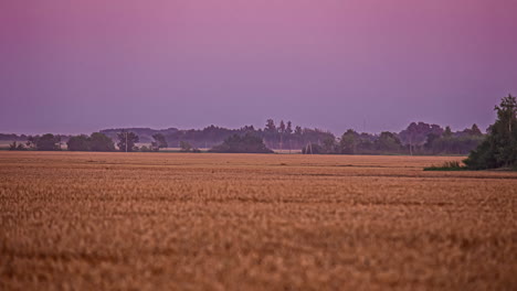 Sunset-to-twilight-time-lapse-in-cultivated-farmland-with-a-tractor-driving-through-the-fields