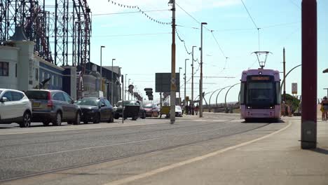Eine-Rosa-Straßenbahn-Fährt-In-Blackpool,-England,-An-Der-Kamera-Vorbei