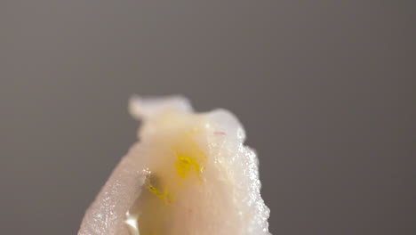 Close-up-of-yellow-olive-oil-dripping-on-a-piece-of-fresh-sea-bass---slow-motion-shot