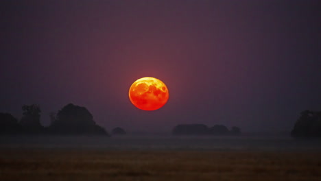 The-super-moon-rises-over-the-trees-on-the-horizon-and-glows---zoomed-in-detail-of-craters-in-a-time-lapse