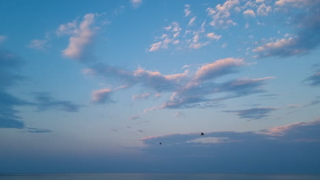 Slow-motion-of-seagulls-flying-in-the-sky-above-the-sea