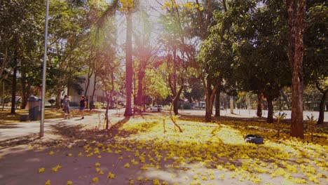 City-neighborhood-park-during-autumn-season,-ground-covered-with-yellow-leaves