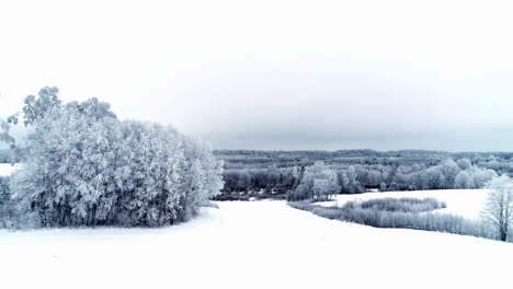 Flying-over-a-frozen-and-snowy-landscape-by-trees-covered-in-frost-to-reveal-a-wide-landscape
