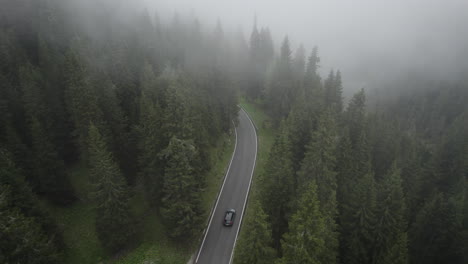 Car-drives-up-misty-Giau-Pass-enveloped-by-coniferous-forest
