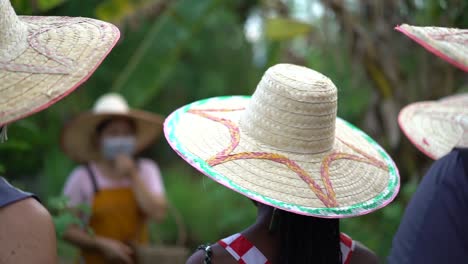 Instructor-Teaching-Outside-Garden-Lesson-to-Class-of-People-Wearing-Straw-Hats-Outdoors-in-the-Rain-in-Bangkok-Thailand-SLOW-MOTION