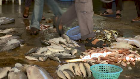 Piles-of-fresh-fish-on-the-ground-with-people-walking-around-on-the-wet-floor