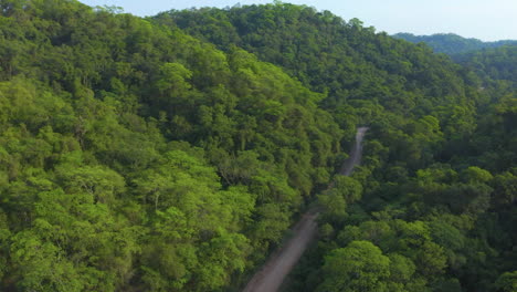 AERIAL---Road-in-a-forest-valley,-treetops-over-the-hills,-forward-pan-right
