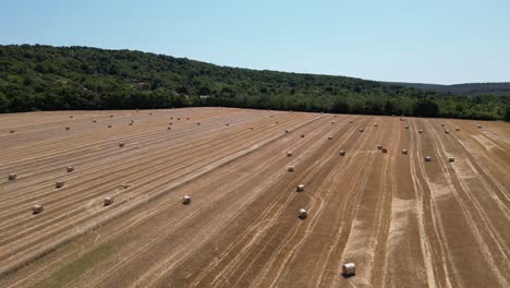 Vast-farm-land-littered-with-round-hay-bales