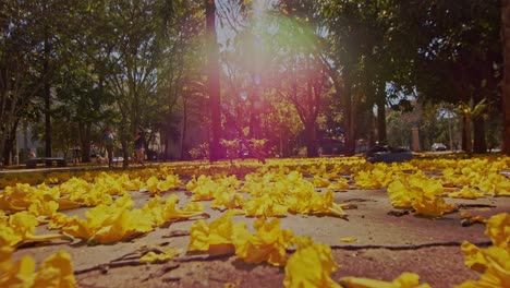 Unrecognizable-person-walking-in-park-during-autumn-season,-fallen-yellow-leaves