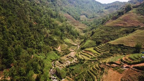 Luftaufnahme-Des-Fliegens-Durch-Ein-Tal-Von-Reisfeldern,-Die-Die-Hügel-In-Südostasien-Säumen