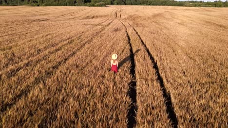 Orbital-shot-of-a-woman-wearing-a-sunhat-standing-in-the-middle-of-a-wheat-field,-freedom-concept