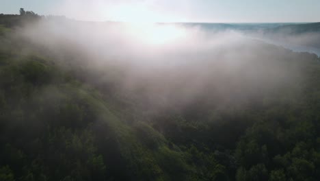 Drone-flying-over-trees-in-clouds