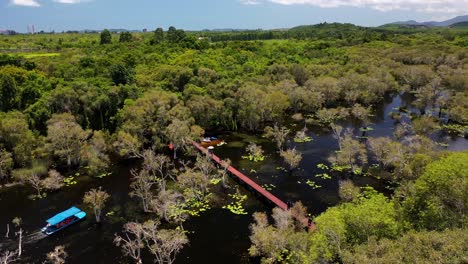 Aerial-Reveal:-wooden-bridge-in-the-beautiful-Mangrove-Forest-of-Botanical-Garden-In-Rayong,-Thailand-ocean-in-the-distance