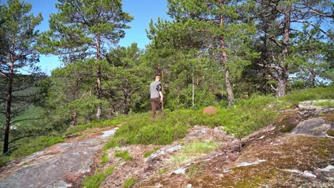 European-caucasian-male-coming-into-frame-from-left-and-walking-on-hiking-trail-through-lush-green-forest-with-blue-summer-sky-background---Norway