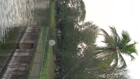 Vertical-video---palm-trees-,-park-by-the-river-in-Singapore