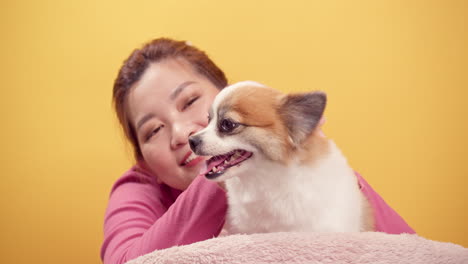 Asian-woman-playing-with-chihuahua-mix-pomeranian-dogs-for-relaxation-on-bright-yellow-background-6