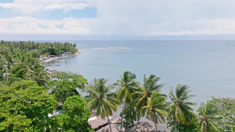 Luftflug-über-Den-Strand-Von-Palenque-Mit-Tropischen-Palmen-In-San-Cristobal,-Dominikanische-Republik