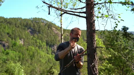 Man-using-axe-to-collect-dry-pine-branches-for-firewood---Static-clip-in-nature-with-lush-green-scenery-during-sunny-summer-day