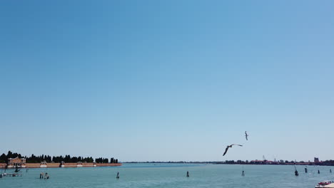 Venice-from-a-boat-island-tracking-a-seagull-4K-59,94-frames-per-sec-5-sec