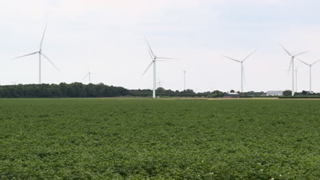 Turbinas-De-Viento-En-Un-Campo-Agrícola-En-Los-Países-Bajos,-Europa-7