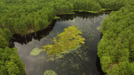 Lush-green-forest-reflects-off-the-beautiful-glass-like-surface-of-Hardy-Lake,-Ontario,-aerial-descend