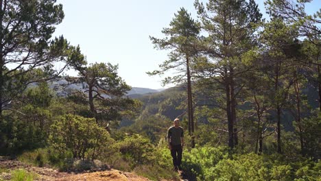 Man-coming-into-frame-and-walking-past-camera-on-hiking-trail-through-pine-forest---Golden-sunlight-during-hot-summer-morning---Caucasian-male-static-clip