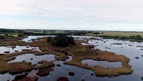 Flying-over-a-marshy-wetland-with-meadows-and-copse-of-trees-along-the-horizon
