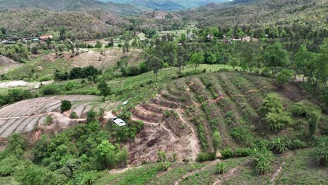 Landwirtschaftliche-Felder-Auf-Bergterrassen-Von-Chiang-Mai-In-Thailand