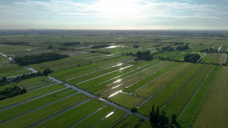 Extreme-Wide-Aerial-Drone-Shot-of-Dutch-Polder-Farm-Land