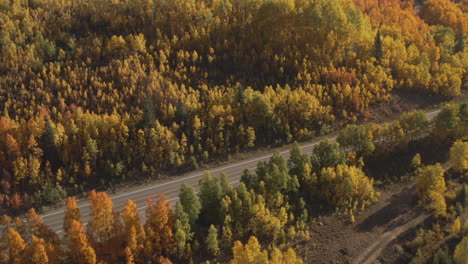 Aerial-shot-panning-up-of-beautiful-Colorado-mountain-towns-and-bright-yellow-and-orange-aspen-trees-during-autumn-in-the-San-Juan-Mountains-along-the-Million-Dollar-Highway-road-trip