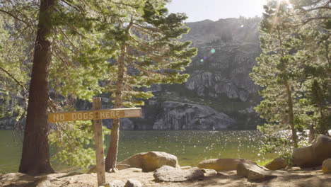 Exterior-establishing-shot-of-a-no-dogs-allowed-sign-in-front-of-a-beautiful-alpine-lake-with-sunlight-coming-through-the-trees-and-a-cliff-in-the-background