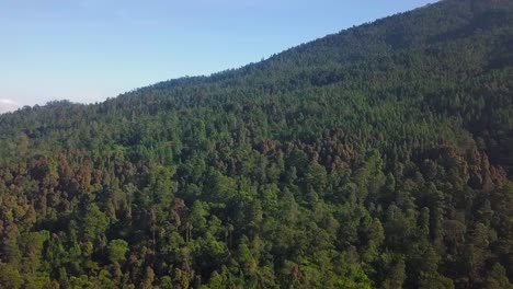Luftaufnahme-Der-Dichten-Vegetation-Im-Wald-Am-Hang-Des-Mount-Sumbing-Central-Java
