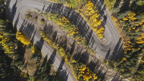 Aerial-shot-overhead-of-beautiful-Colorado-mountain-roads-and-bright-yellow-and-orange-aspen-trees-during-autumn-in-the-San-Juan-Mountains-along-the-Million-Dollar-Highway-road-trip
