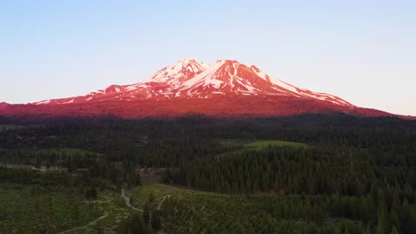 Aerial-shot-of-an-ice-covered-Mount-Shasta-and-surrounding-forest-illuminated-by-a-pink-sunset