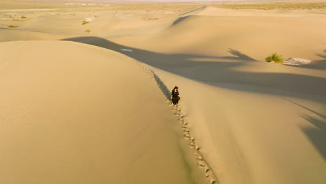 Girl-In-Black-Dress-Walking-Alone-In-The-Sand-Dunes-Of-Death-Valley-National-Park-In-California