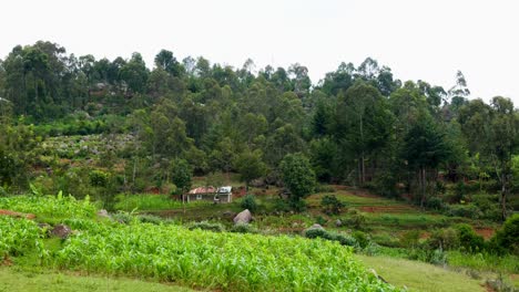 Ländliches-Afrikanisches-Dorf-Und-Landwirtschaftsbetrieb