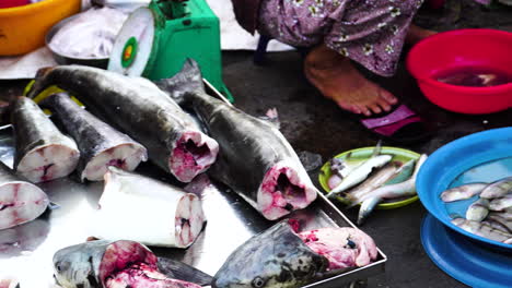 Fresh-cleaned-fish-market-of-Phan-Thiet-in-Vietnam,-motion-view