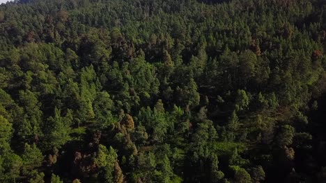 Aerial-view-of-dense-forest-on-the-slope-of-mount-Sumbing-central-java