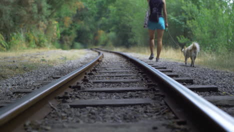 Railroad-Forest-girl-walking-the-dog-in-slow-motion