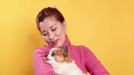 Asiatische-Frauen-Zeigen-Liebe-Und-Spielen-Mit-Chihuahua-mix-pommerschen-Hunden-Zur-Entspannung-Auf-Hellgelbem-Hintergrund-1