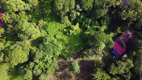 Drone-shots-of-Hulu-Langat-near-the-greater-outskirts-of-Kuala-Lumpur,-Malaysia-3