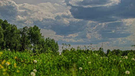 Üppige-Wiesen-Und-Immergrüne-Bäume-Unter-Einer-Weißen,-Verträumten-Wolkenlandschaft