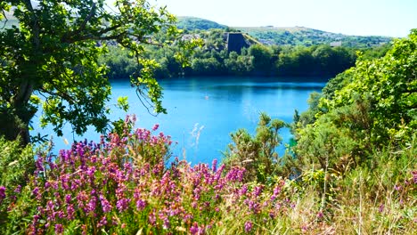 Countryside-hilltop-view-picturesque-sunny-sparkling-blue-lake-surrounded-by-lush-peaceful-woodland